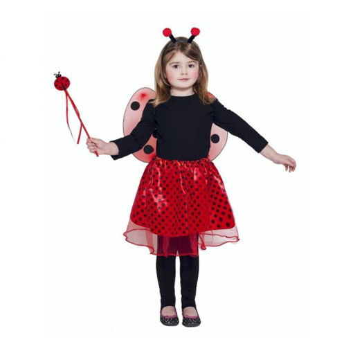 Picture of LADYBIRD COSTUME